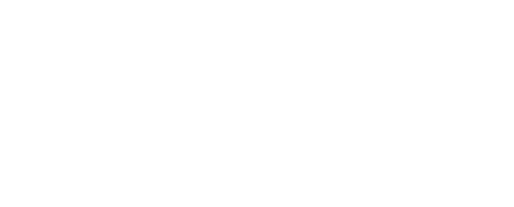 New Chinese Garden
